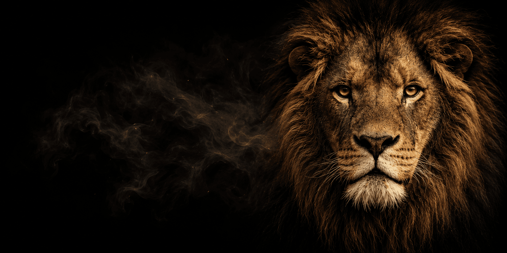 Lionz lion smoke background
